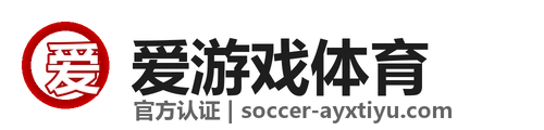 爱游戏 logo
